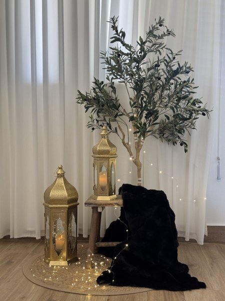 زاوية رمضانية