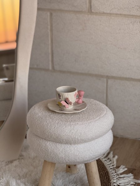 مج فراشة 3D