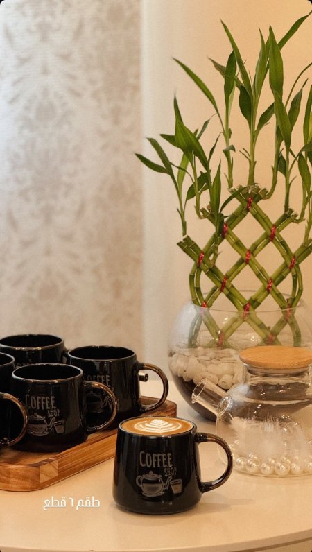طقم ٦ مجات ☕️