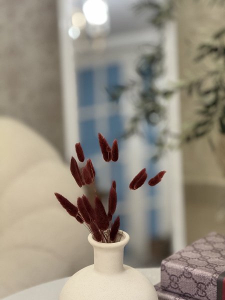 ورد