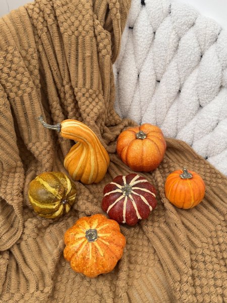 يقطين  (عدد ٦)🎃